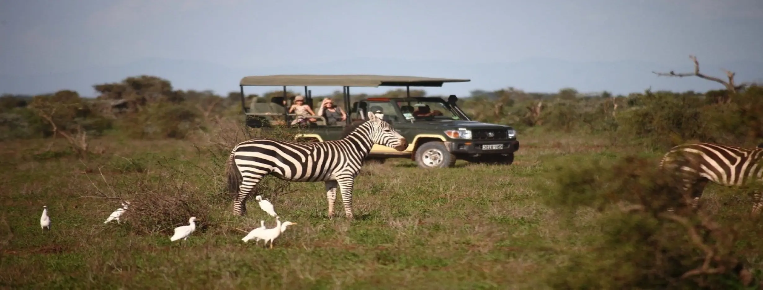 Image for Cultural Safari